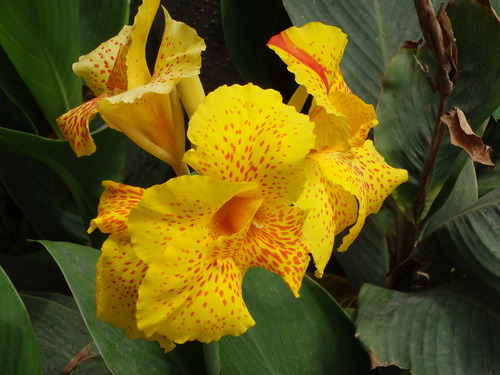 Jardín Botánico.